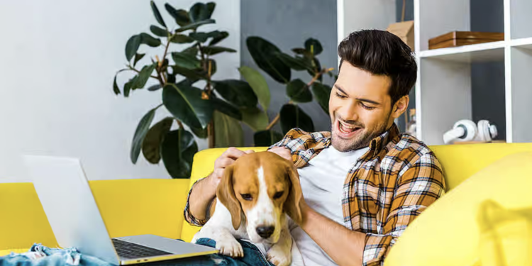 Woof! How to Become a Pet Insurance Agent in the Philippines